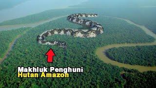 6 Misteri yang Sangat Menakutkan di Hutan Amazon‼️