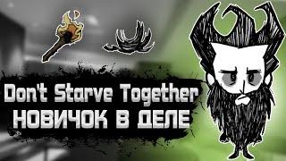 ДОНТ СТАРВ ТУГЕЗЕР НОВИЧОК И ОБНОВЛЕНИЕ | Don't Starve Together