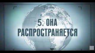 Саентология и торговцы хаосом: «Правдивая история Саентологии», Л. Рон Хаббард (12+)