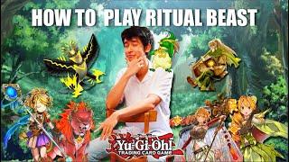 HOW TO ACTUALLY PLAY RITUAL BEAST (IN DEPTH COMBO GUIDE)