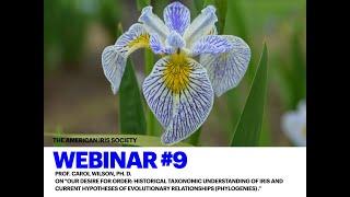 AIS Webinar #9 "Our desire for order: historical taxonomic understanding of Iris..."