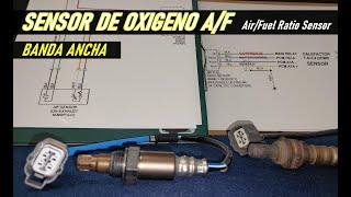 Sensor de oxigeno A/F o de banda ancha, como funciona, su señal y como probarlo