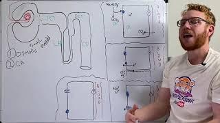 Diuretics | 5 Classes