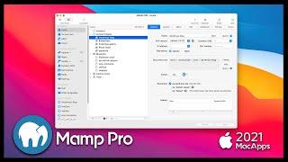 Mamp Pro for Mac 2021 | Interface & Workspace Quick View