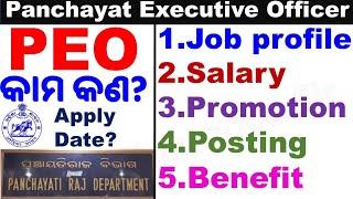 PEO Job Profile|PEO Salary, Promotion, Posting etc|PEO Vacancy Details|ପଞ୍ଚାୟତ ନିର୍ବାହୀ ଅଧିକାରୀ।