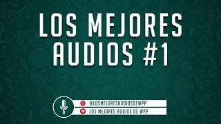 LOS MEJORES AUDIOS DE WHATSAPP - COMPILADO #1