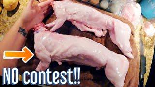 Meat-Mutt v.s. Purebred Meat Rabbits:  How do they compare ?