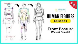 NID/NIFT/UCEED Drawing Preparation | Human Front Posture | Episode 1 | How to make human figures?