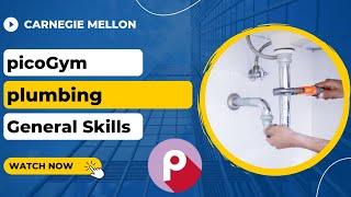 picoGym (picoCTF) Exercise: plumbing