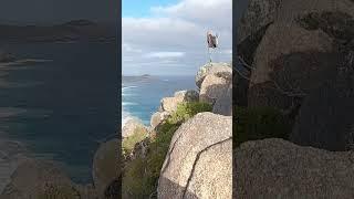 Awesome landscape image taken at Torndirrup National Park, WA. Australia.