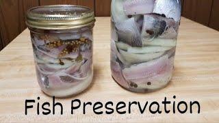 Fish Preservation (Pickling Method)
