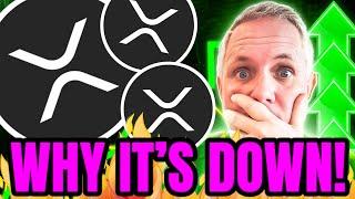 WHY XRP IS DOWN TODAY! AND, WHAT TO EXPECT NEXT XRP HOLDERS! XRP ARMY!