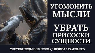 Угомонить мысли. Убрать Присоски и Сущности с Головы. Восстанавливаем психологическое состояние.