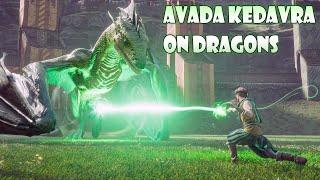 Can Avada Kedavra Kill a Dragon? - Hogwarts Legacy