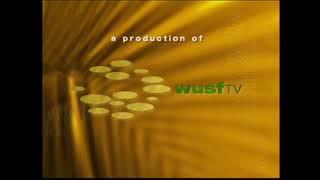 WUSF (With orange carpet background and "TV" word, 2010)