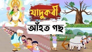 যাদুকৰী আঁহত গছ || Assamese Story || Hadhu Akhomiya || Hadhu Kotha Assamese