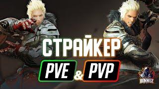 Black Desert Mobile - Страйкер (PVE, PVP), билды и арена