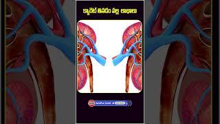 Carrot Health Benefits in Telugu | Socialpost Health | #shorts #ytshorts #carrot