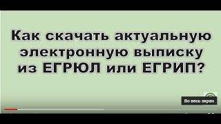 Как скачать актуальную электронную выписку из ЕГРЮЛ или ЕГРИП?