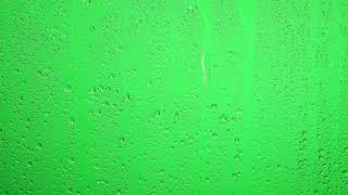 Transparent Drops Of Rains 4K | Rain Green Screen 4K | Free Rain Green Screen 4K