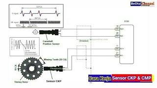 Fungsi Crankshaft Position Sensor Beserta Cara Kerja CKP Sensor plus CMP Sensor Pada Mobil Injeksi