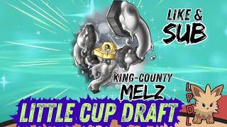 LPDL (lilly pup draft league) draft analysis!!!! come check out the new team full of baby pokemon!!