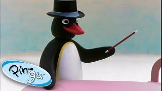 Pingu And The Magician! @Pingu Cartoons For Kids