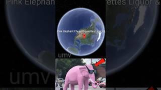 unique map view  i find a pink elephant #elephant #ytshorts #youtubeshorts #shortsfeed