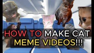 How To Make a Cat Meme Video