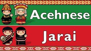 CHAMIC: ACEHNESE & JARAI