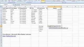 Using Excel's Subtotal Function with Filters in Excel