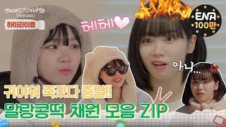 [하이라이트] 두 가지 자아를 가진 말랑콩떡 채원 모음 ZIP! | 혜미리예채파 | ENA 채널