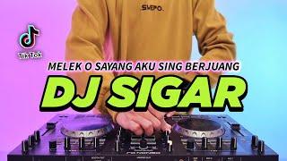 DJ MELEK O SAYANG AKU SING BERJUANG - SIGAR REMIX FULL BASS VIRAL TIKTOK TERBARU 2024