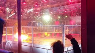 Robot Wars Series 10 Terrorhurtz/Vulture/Apex audience POV fight