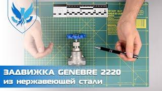 ️️ Задвижка клиновая муфтовая Genebre 2220 Ду 20, задвижка клиновая нержавеющая трубопроводная