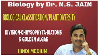 Division-Chrysophyta -Diatoms & Golden Algae (Biological Classification) | Hindi Medium