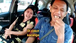 Kacang Lucu koplak  || hipnotis