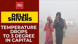 Delhi Shivers At 3 Degree Celsius, Bone Chilling Cold In Capital | Cold Wave In North India