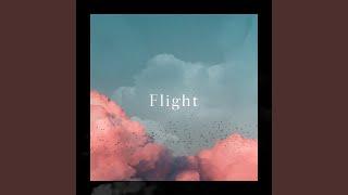 Flight