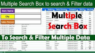 How to Create  Multiple Search Box for searching and filtering data in Excel by learning center