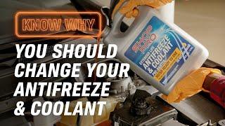 Why Do You Need to Change Your Antifreeze & Coolant?