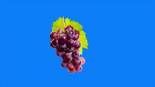 Motion grapes Fruit green screen/ green screen animation grapes Fruit Background