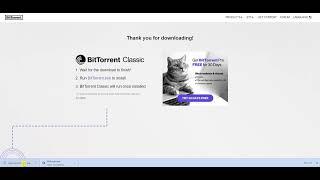 Why does BitTorrent or other Torrent NOT install on Windows (2022)? Quick Fix in Allowing the .exe