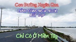 Tuyến Đường Xuyên Qua Cánh Đồng Rất Đẹp Ở An Giang | Nguyễn Hồ Miền Tây