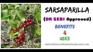 SARSAPARILLA - BENEFITS & USES (DR SEBI APPROVED)