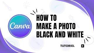 How to make a photo black and white in Canva