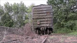 Once abandoned Bay Colony Railroad Boxcar before removal - Millis, MA - 9/2023