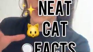 Neat Cat Facts ~ Dwarfism
