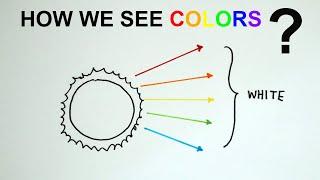 How do we see colors? Reflection of Colours GCSE Physics