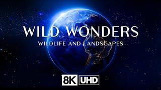 WILD WONDERS 8K UHD (60fps) - Wildlife and Landscapes of Earth With Calming Music